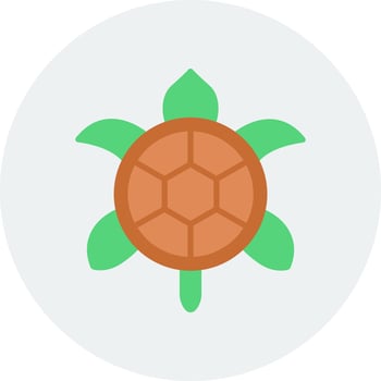 Turtle Vector Icon
