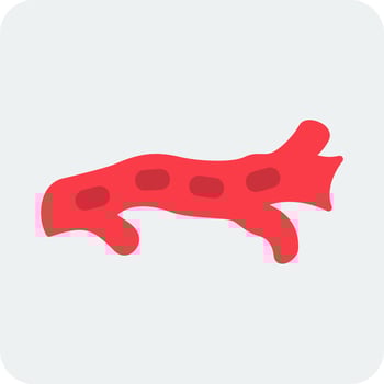 Artery Vector Icon