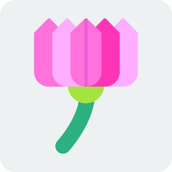 Cyclamen Vector Icon