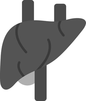 Liver Vector Icon