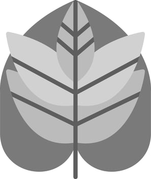 Monstera Vector Icon