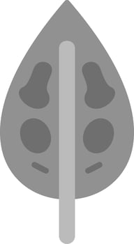 Dieffenbachia Vector Icon