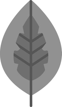 Red Aglaonema Vector Icon