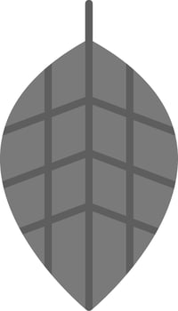 Fittonia Vector Icon