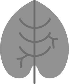 Caladium Vector Icon