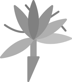 Bird Of Paradise Vector Icon