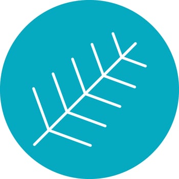 Areca Palm Vector Icon