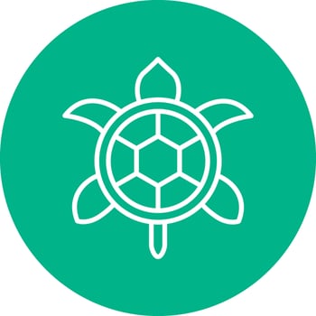 Turtle Vector Icon