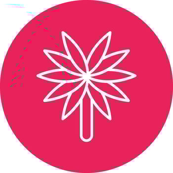Spider Plant Vector Icon