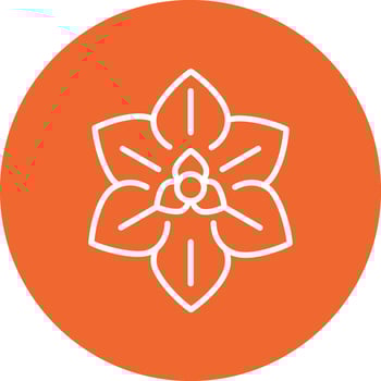 Euphorbia Pulcherrima Vector Icon