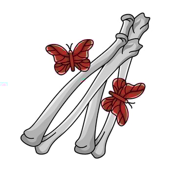 Illustration of bone vector