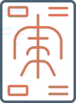 X Rays Vector Icon
