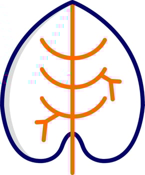 Caladium Vector Icon