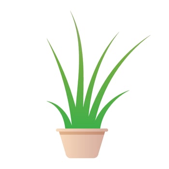 Vector aloe indoor plant icon flat illustration of aloe indoor plant vector icon for web design