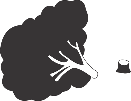 Sycamore tree icon png