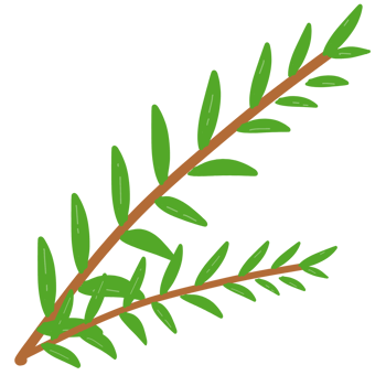 clipart of leaf png