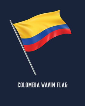 Colombia wavin flag vector