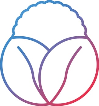 Lettuce Vector Icon