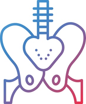 Pelvis Vector Icon