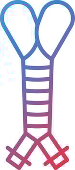 Trachea Vector Icon