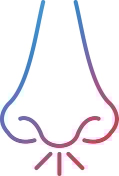 Rhinology Vector Icon