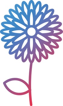 Chrysanthemum Vector Icon