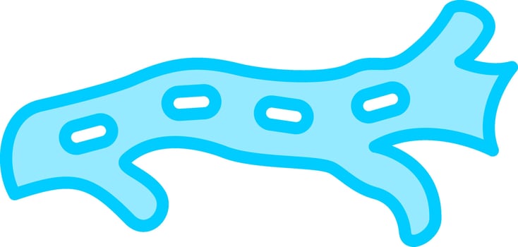 Artery Vector Icon