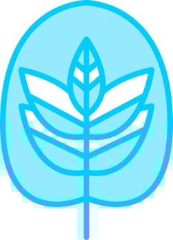 Calathea Vector Icon