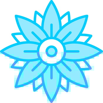 Chrysanthemum Vector Icon