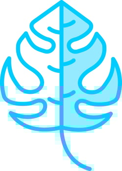 Monstera Vector Icon