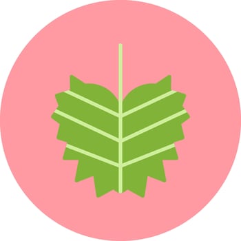 Elephant Ear Vector Icon
