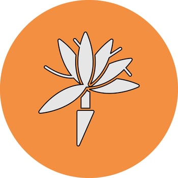 Bird Of Paradise Vector Icon