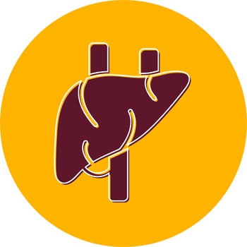 Liver Vector Icon