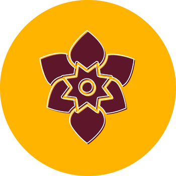Amaryllis Vector Icon