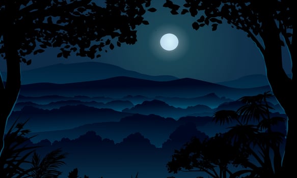 Moonlight over misty forest illustration vector