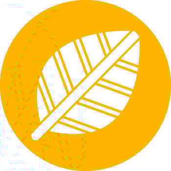 Persian Shield Vector Icon