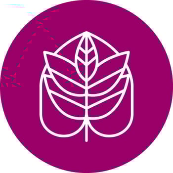 Monstera Vector Icon