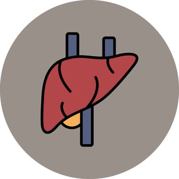Liver Vector Icon