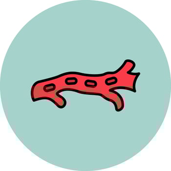 Artery Vector Icon