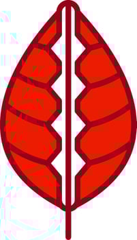 Maranta Vector Icon