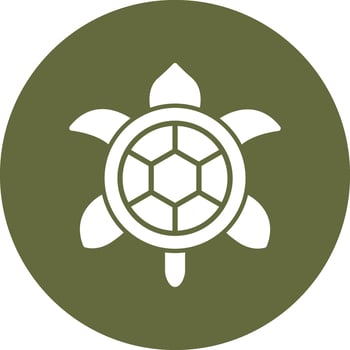 Turtle Vector Icon