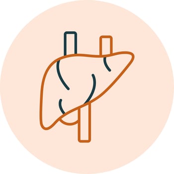 Liver Vector Icon