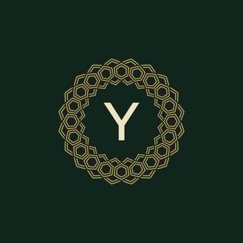 initial letter Y ornamental elegant frame lines logo vector
