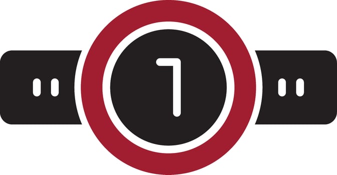 Belt Vector Icon