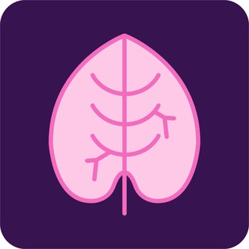Caladium Vector Icon