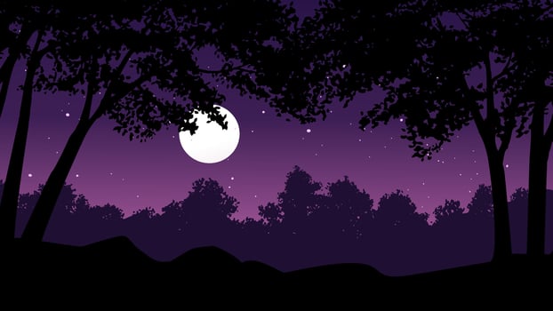 Calm night in forest vector background