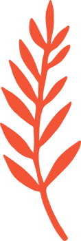 Simplicity autumn leaf freehand drawing png