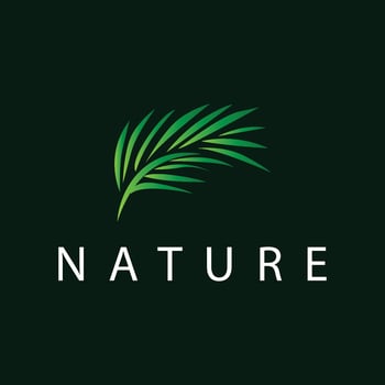 Palm Leaf Logo, Green Plant Design Vector Illustration Template