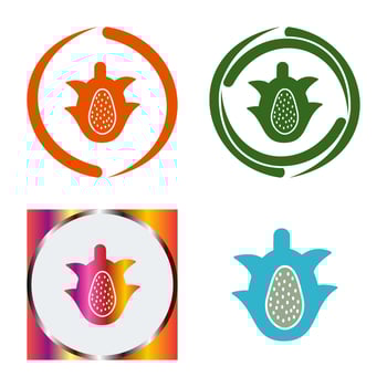 Dragon Fruit Vector Icon