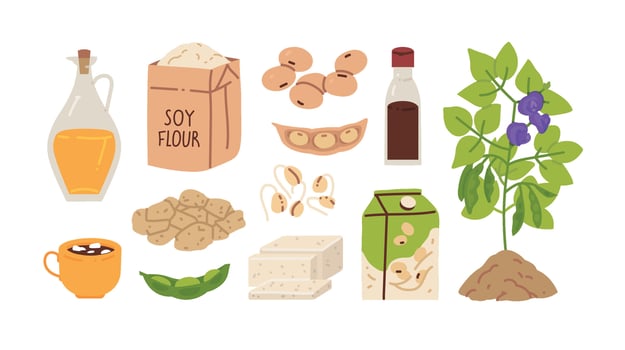 Soy Products Icon Set vector